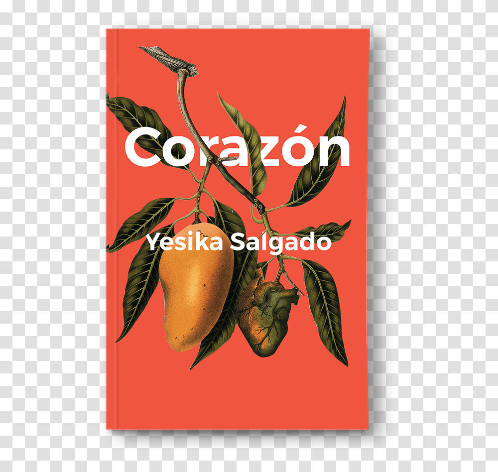 Yesika Salgado Books, Plant, Food Transparent Png