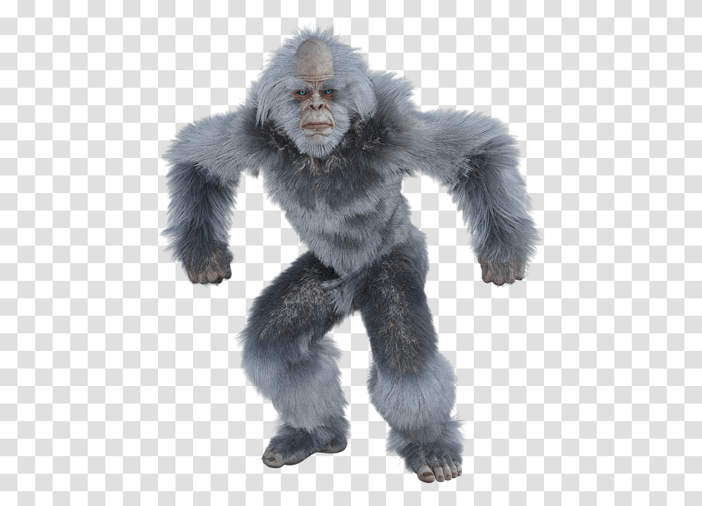 Yeti Bigfoot Snow Man Almas Sasquatch Yowie Gorilla, Toy, Plush, Doll Transparent Png