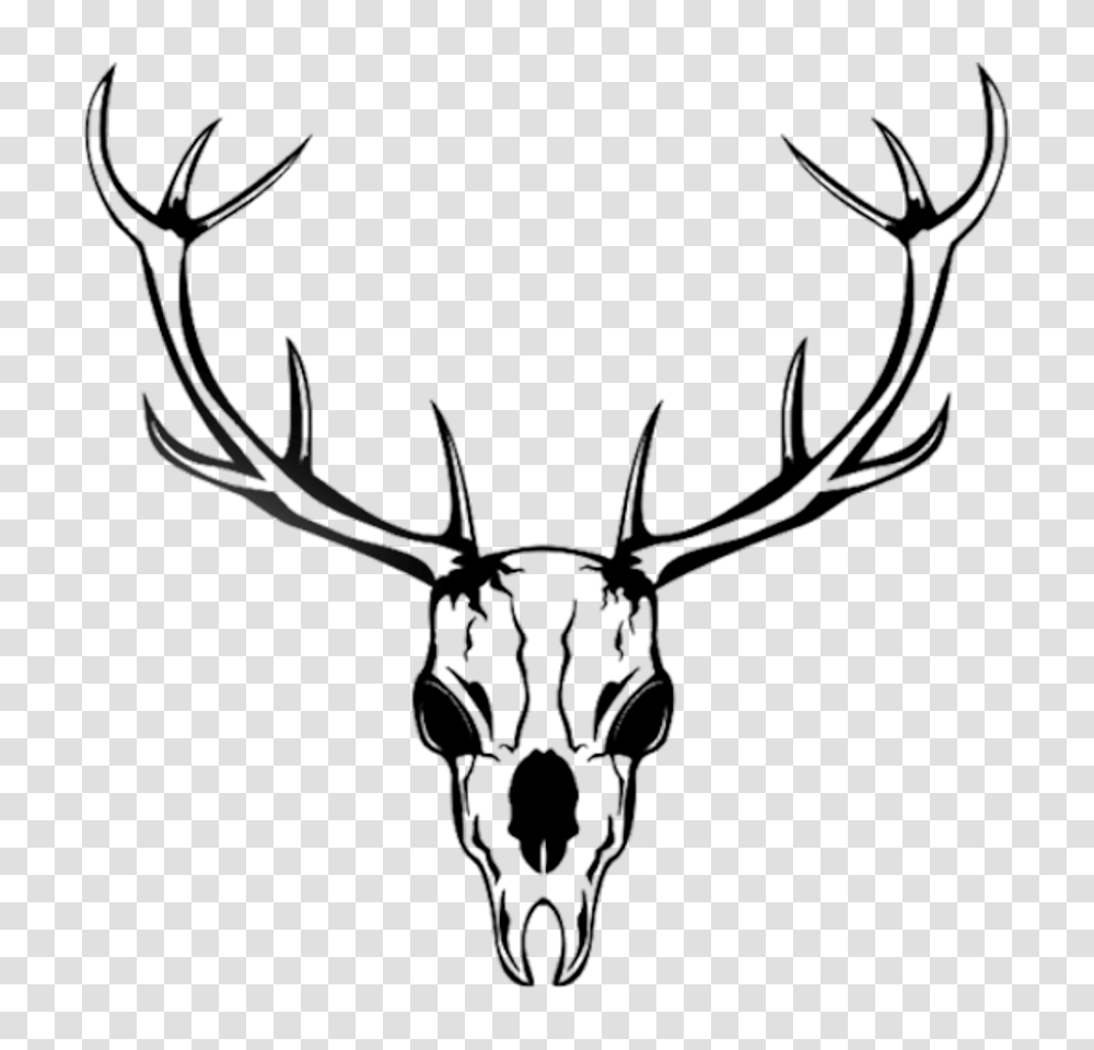 Yeti Oz Tumbler Etchxpress, Antler, Antelope, Wildlife, Mammal Transparent Png