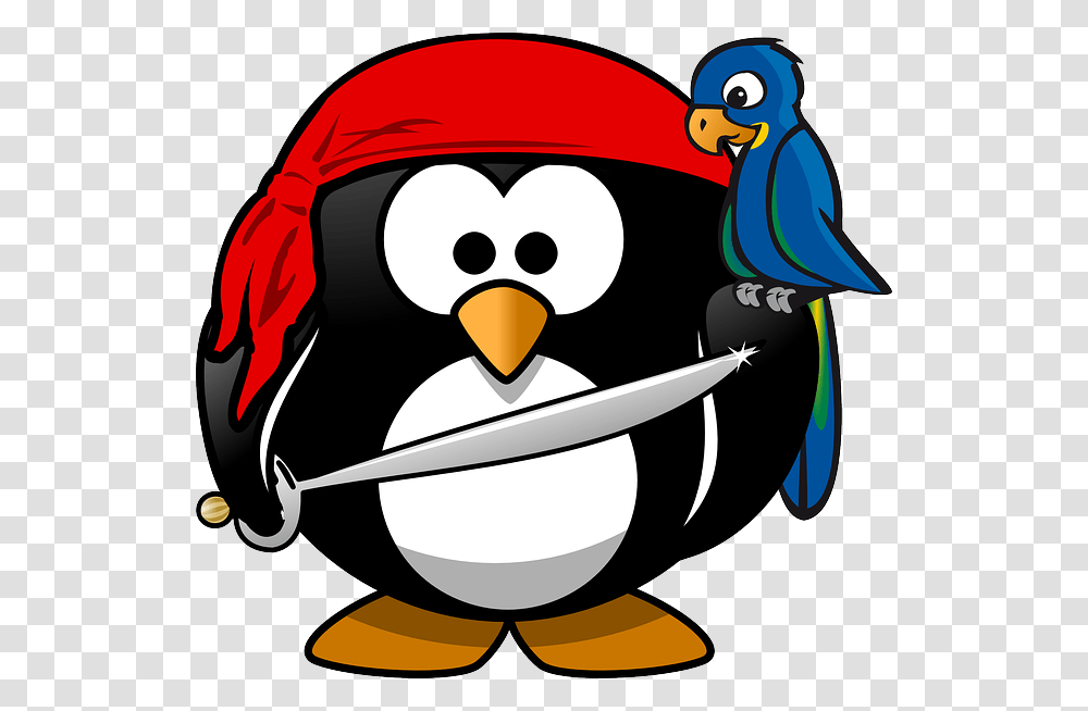 Yo Ho Ho The Mailbox Blog, Penguin, Bird, Animal, Helmet Transparent Png