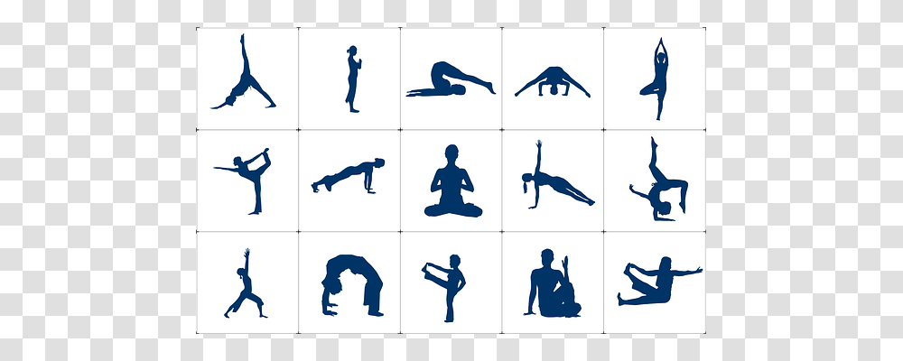 Yoga Person, Sport, Bird, Animal Transparent Png