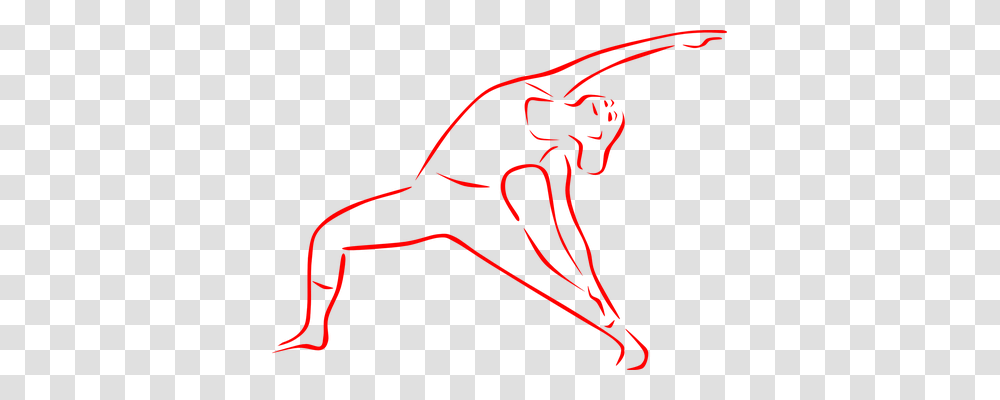 Yoga Sport, Animal, Bow, Insect Transparent Png