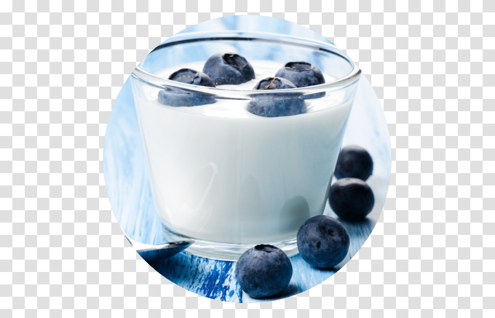 Yoghurt Met Blauwe Bessen, Plant, Yogurt, Dessert, Food Transparent Png