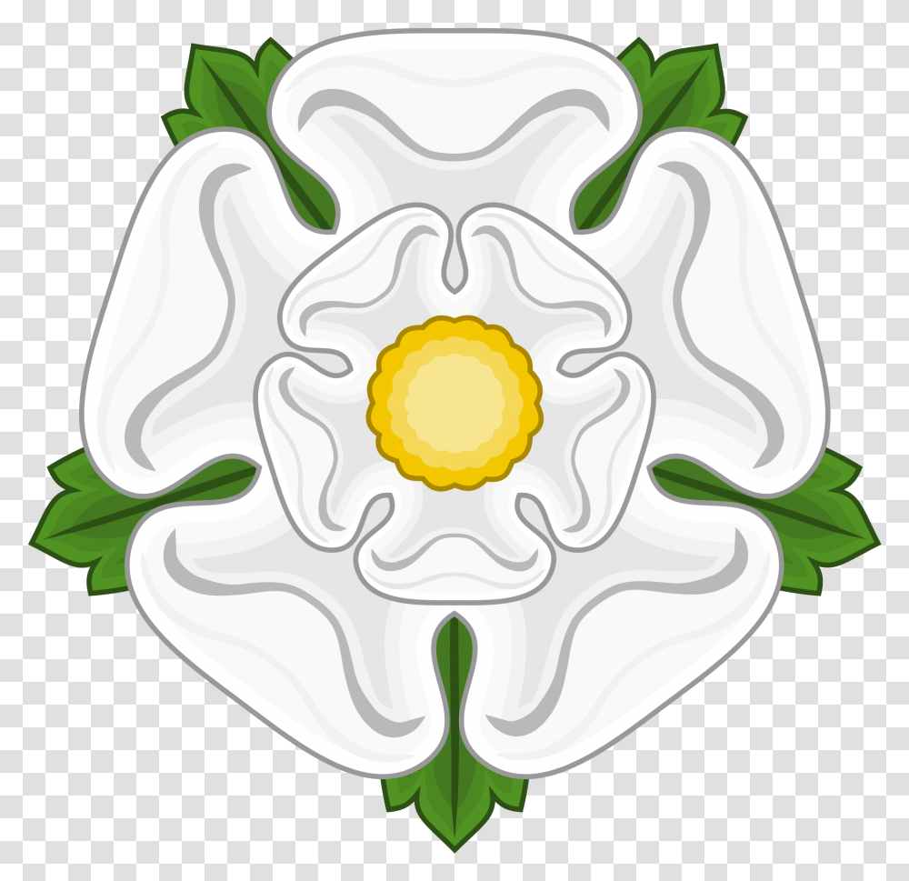 York Rose, Plant, Flower, Dahlia, Petal Transparent Png