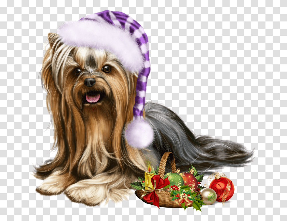 Yorkie Elf Dog Vector, Pet, Canine, Animal, Mammal Transparent Png