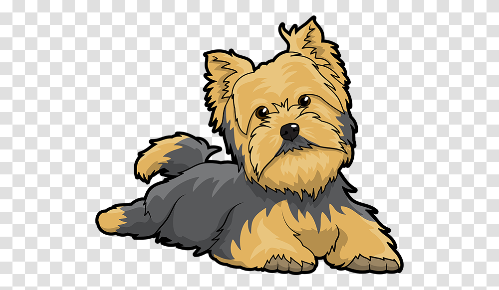 Yorkie Emojis For Dog Lovers Messages Sticker Yorkshire Terrier Clipart, Pet, Animal, Canine, Mammal Transparent Png