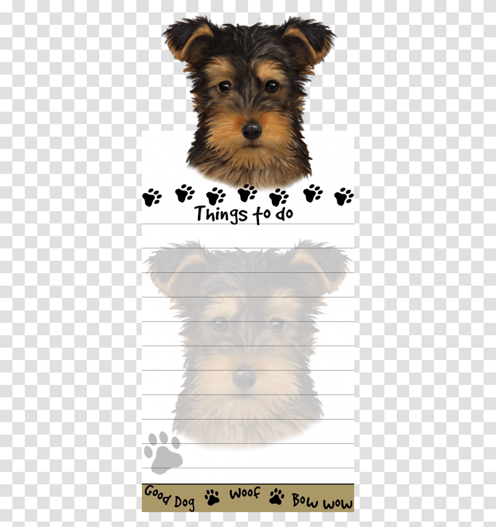 Yorkie Pup Yorkshire Terrier, Pillow, Cushion, Dog, Pet Transparent Png