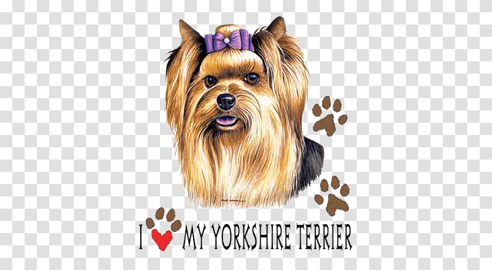 Yorkie T Shirt I Love My Dog, Pet, Animal, Canine, Mammal Transparent Png