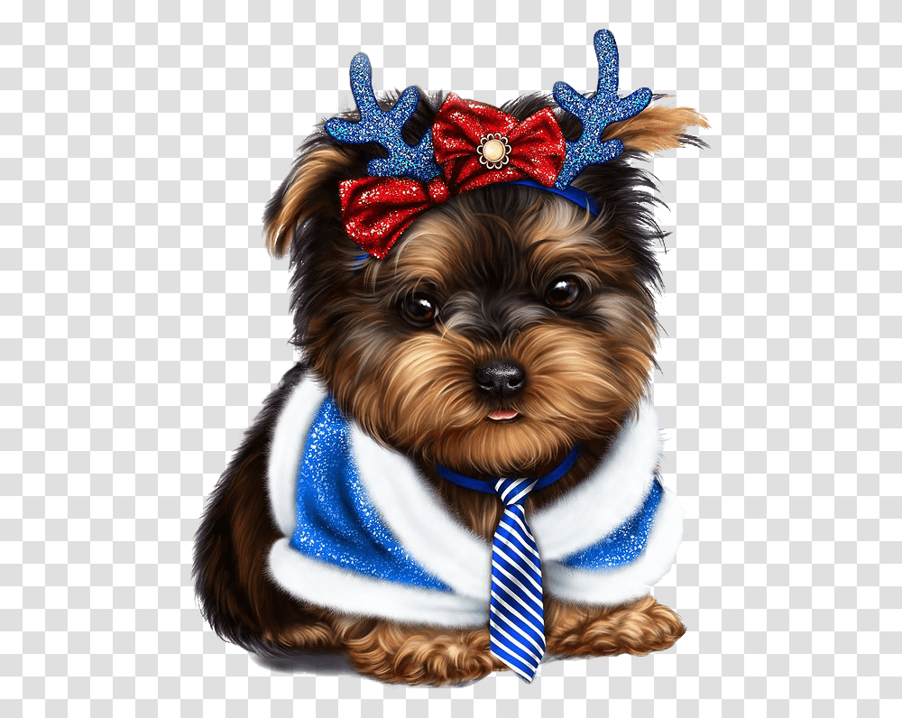 Yorkie Yorkies Yorkshire Terrier Yorkshire Terriers Yorkie Vector, Dog, Pet, Canine, Animal Transparent Png