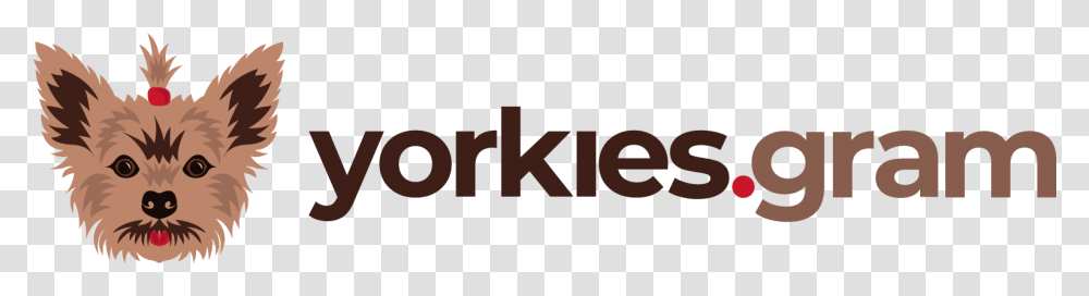 Yorkies Gram Graphic Design, Word, Dog, Label Transparent Png