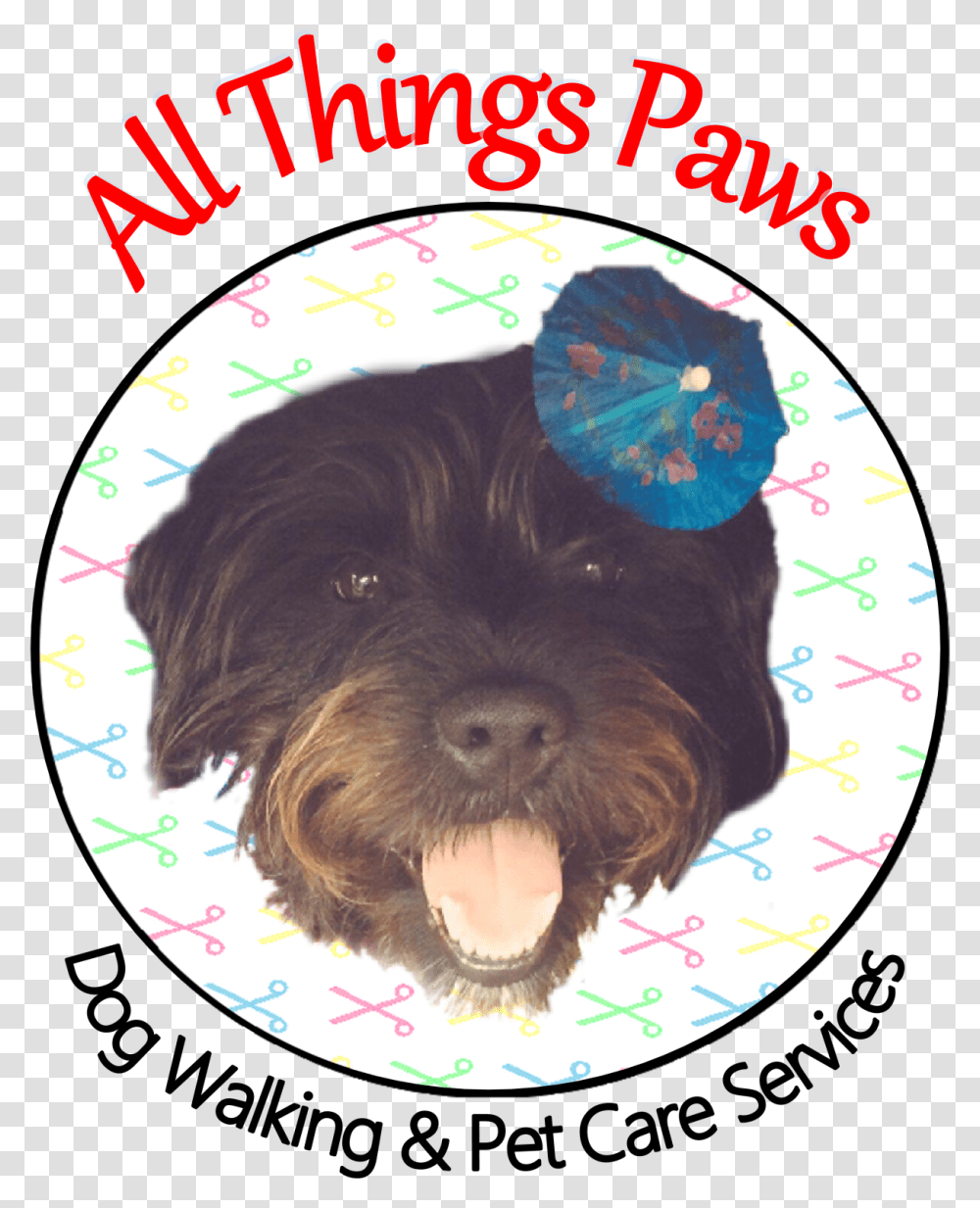 Yorkipoo, Dog, Pet, Canine, Animal Transparent Png