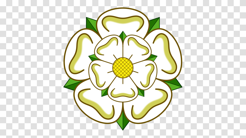 Yorkshire Rose, Plant, Floral Design Transparent Png