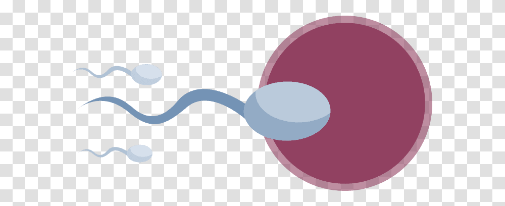 Yorkshire Smokefree Male Sperm, Balloon, Food, Mouse, Hardware Transparent Png