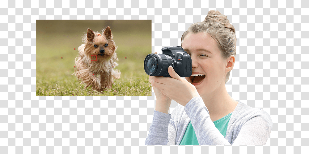 Yorkshire Terrier, Person, Dog, Pet, Canine Transparent Png