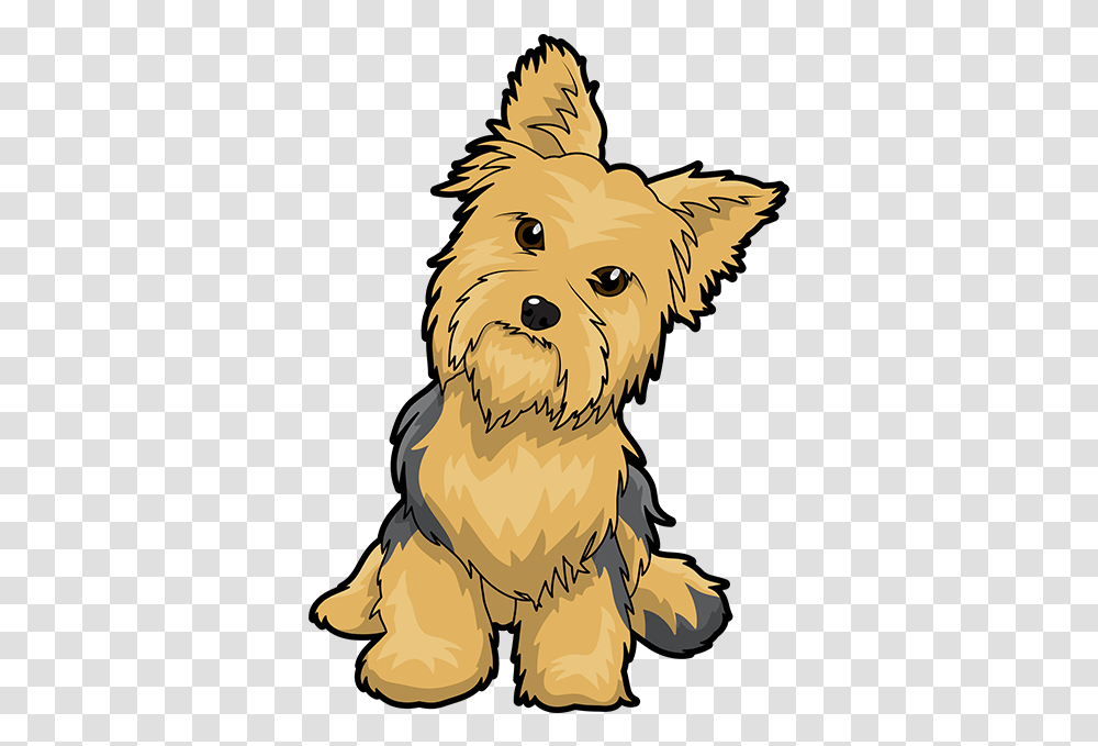 Yorkshire Terrier Puppy Maltese Dog English Toy Terrier Yorkshire Terrier Graphic Cute, Pet, Canine, Animal, Mammal Transparent Png