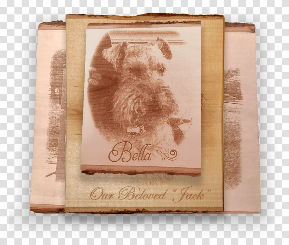 Yorkshire Terrier, Canvas, Book, Rug Transparent Png