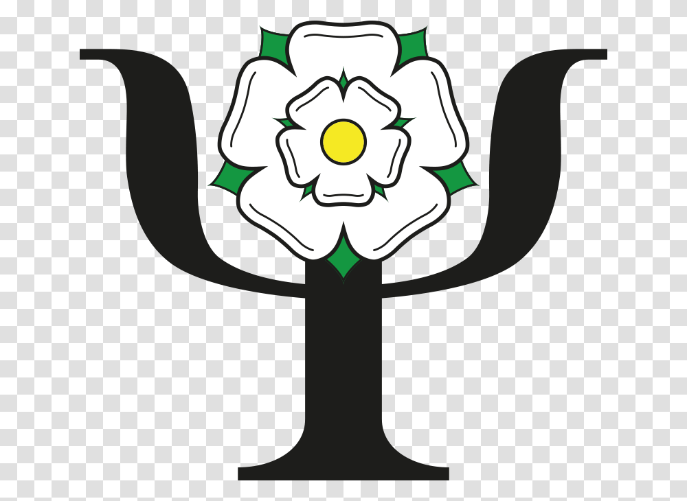 Yorkshire White Rose, Flower, Plant, Blossom Transparent Png