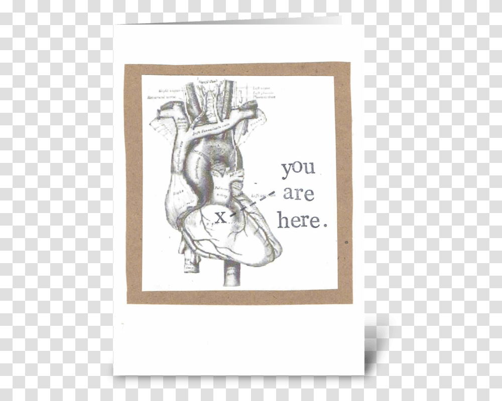 You Are Here Anatomical Heart Greeting Card Valentine's Day Medical Puns, Drawing, Hand, Poster Transparent Png