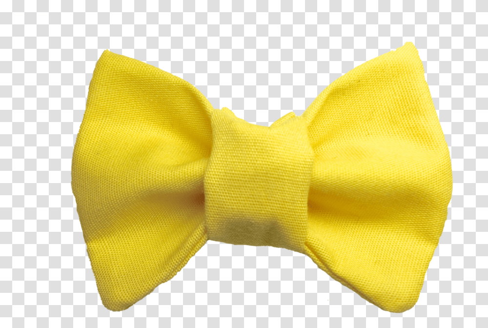 You Are My Sunshine Cat Bow Tie Gold, Glove, Apparel, Accessories Transparent Png