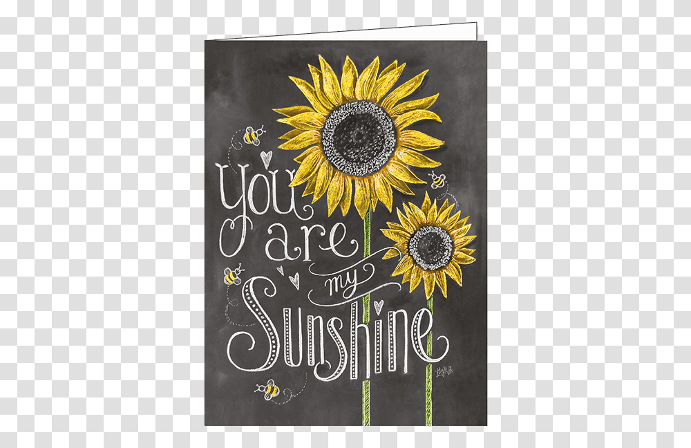 You Are My Sunshine, Plant, Flower, Blossom Transparent Png