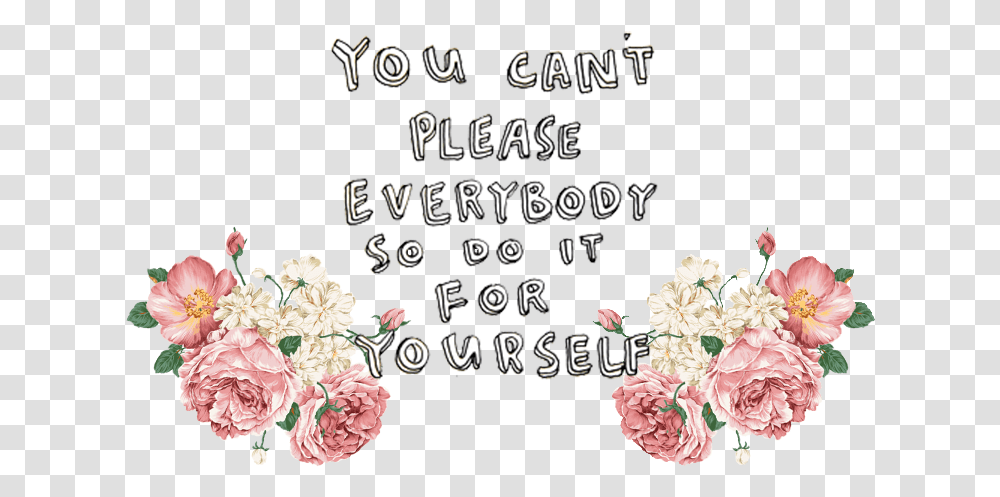 You Can't Please Everybody So Do, Plant, Flower, Blossom, Carnation Transparent Png