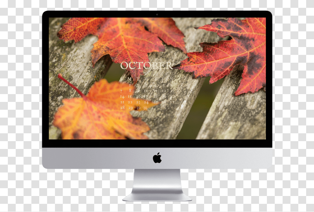You Know You're Old When You Watch Home Alone And Wonder Imac, Leaf, Plant, Tree, Maple Transparent Png