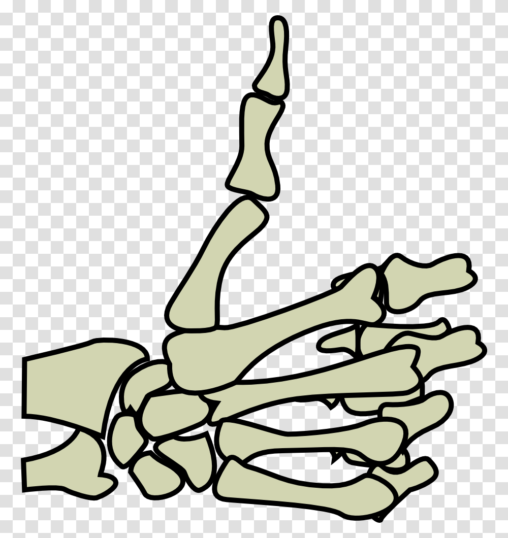 You Need To Login To View This Link Hopefully This Skeleton Hand Thumbs Up, Hook, Animal Transparent Png