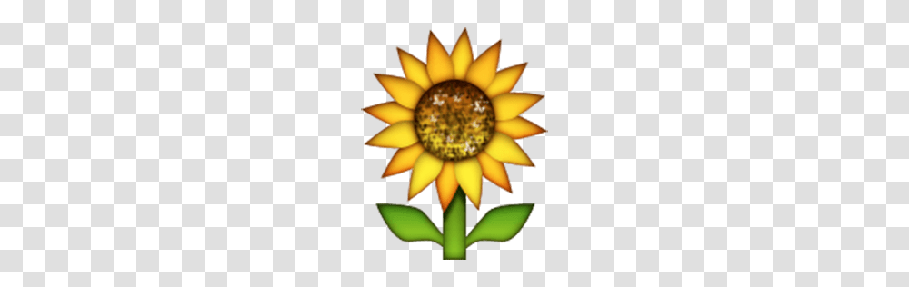 You Seached For Flowers Emoji, Plant, Blossom, Banana, Fruit Transparent Png