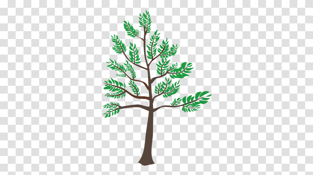 Young Cedar Tree Illustration Free Svg Arbol De Cedro Dibujo, Plant, Cross, Symbol, Leaf Transparent Png