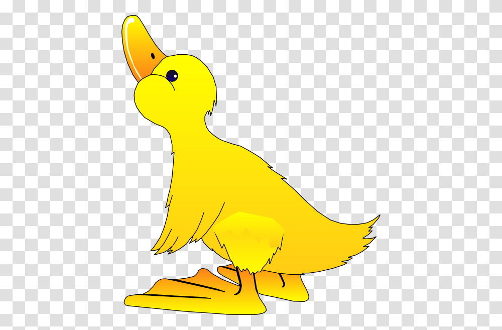 Young Duck Clip Art, Banana, Fruit, Plant, Food Transparent Png