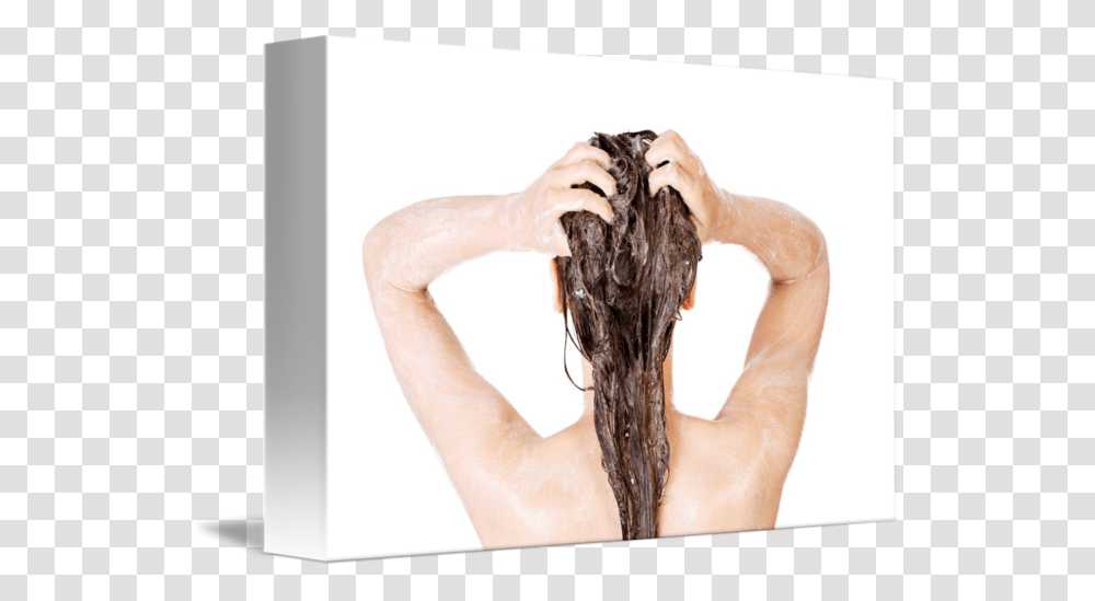 Young Fit Woman In Shower Washing Her Body By B D S Woman Shower, Person, Human, Hand, Skin Transparent Png