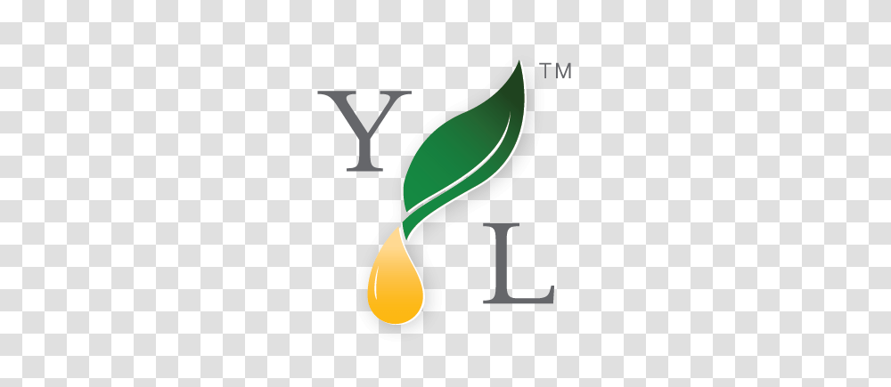Young Living Essential Oils, Axe, Tool, Light Transparent Png