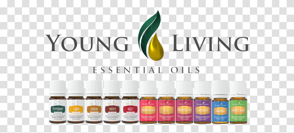 Young Living Essential Oils Christmas, Beer, Alcohol, Beverage Transparent Png