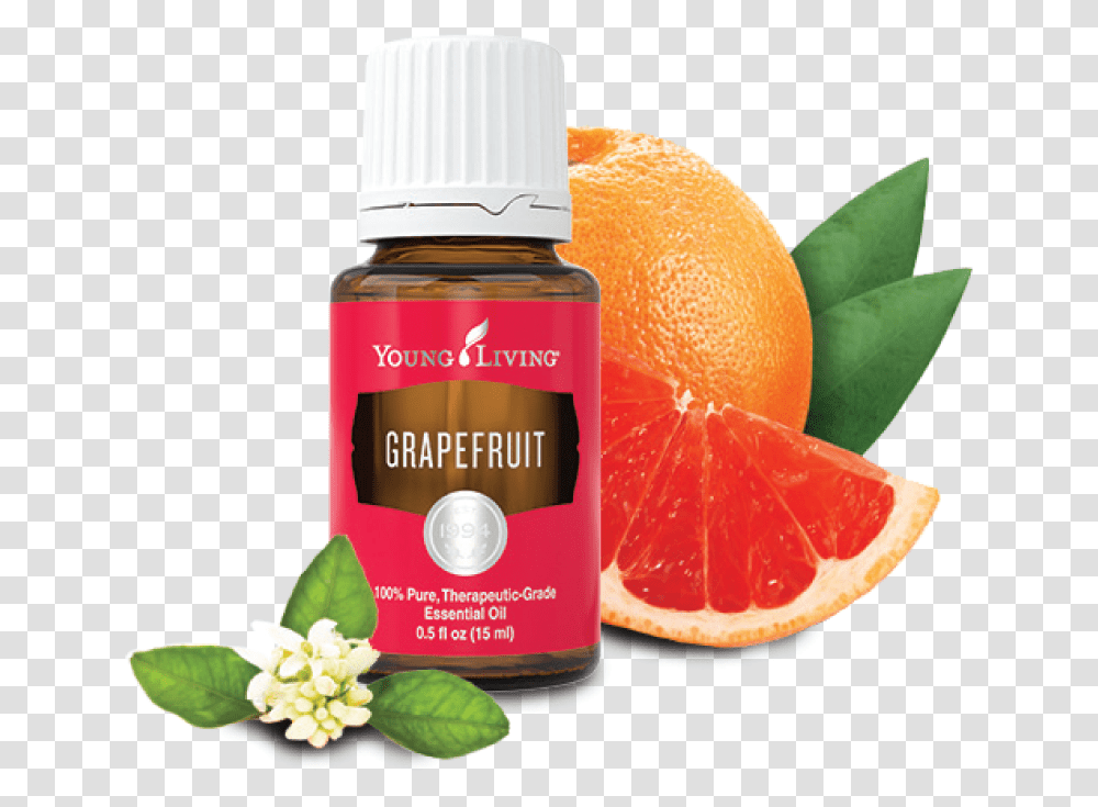 Young Living Grapefruit Essential Oil 15 Ml Download Young Living Grapefruit Essential Oil, Citrus Fruit, Plant, Food, Produce Transparent Png
