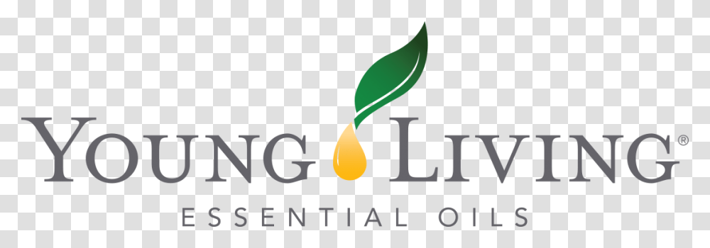 Young Living, Logo, Alphabet Transparent Png