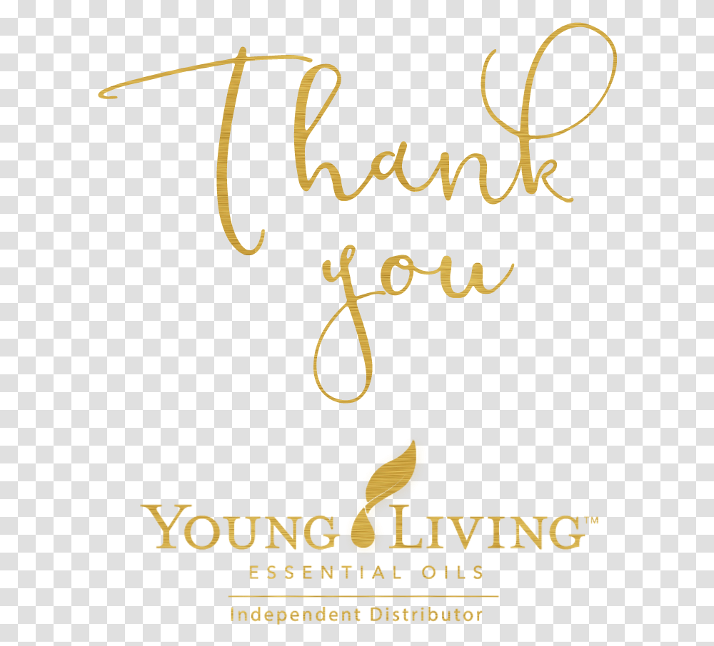 Young Living, Handwriting, Calligraphy Transparent Png