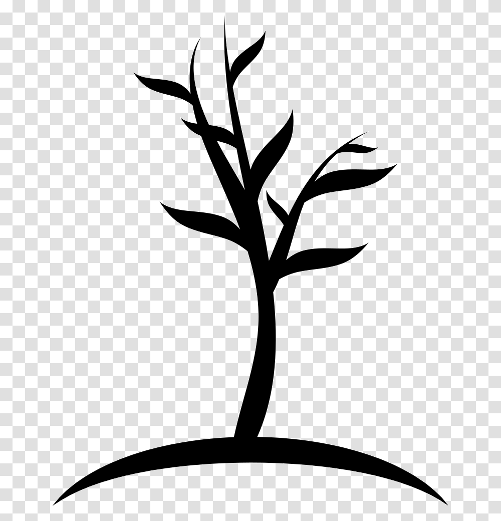 Young Tree Young Tree Icon, Stencil, Plant, Silhouette, Photography Transparent Png