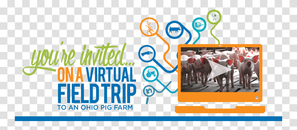 Youquotre Invited On A Virtual Field Trip To An Ohio Pig Salt River Fields At Talking Stick, Cow, Animal, Crowd Transparent Png