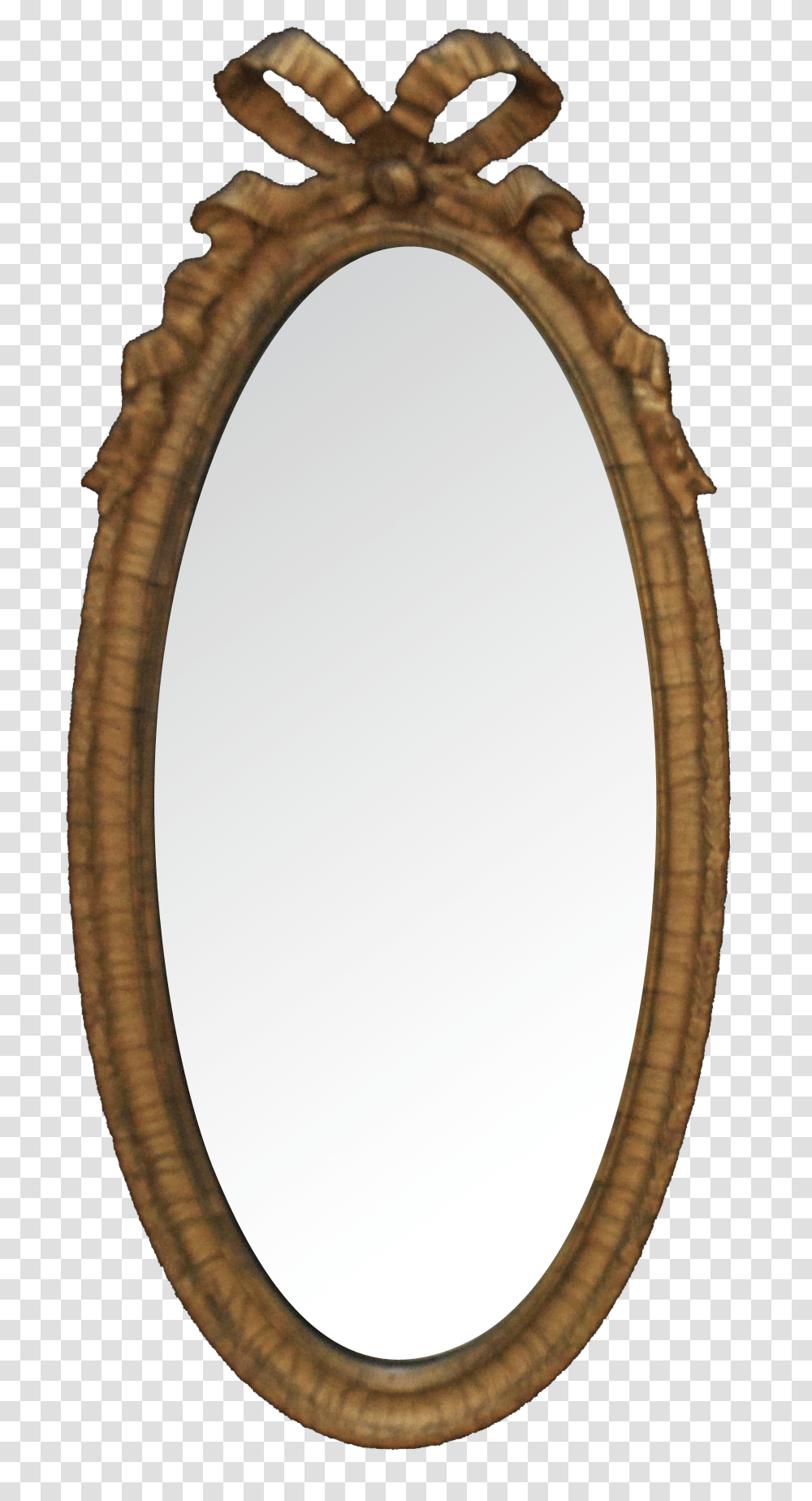 Your Antique Amp Collectable Frames Mirrors Shop Ribbon Mirror Frame, Oval, Snake, Reptile, Animal Transparent Png