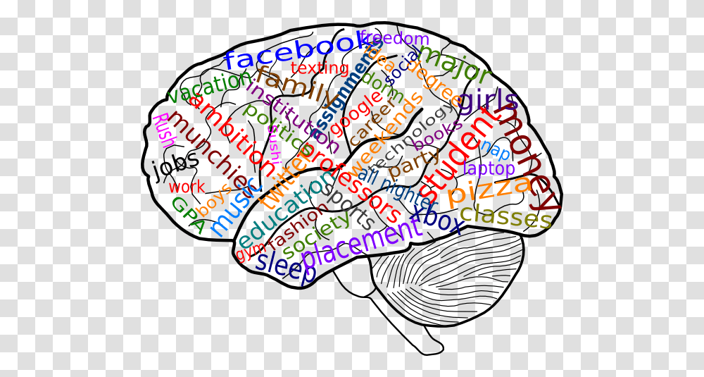 Your Brain On College Clip Art, Doodle, Drawing, Diagram Transparent Png