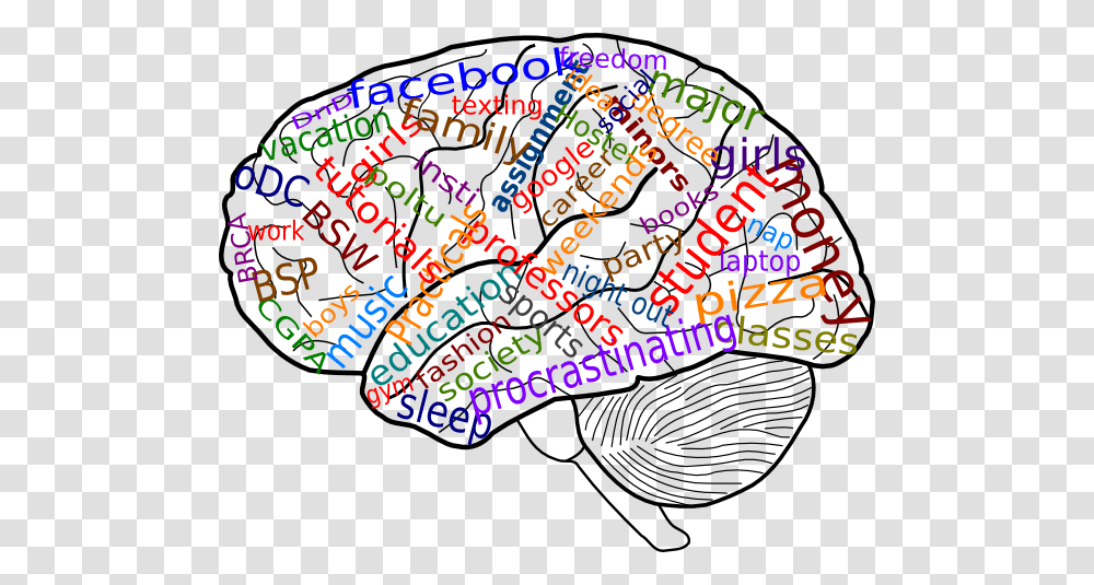 Your Brain On College Clip Art, Doodle, Drawing, Label Transparent Png