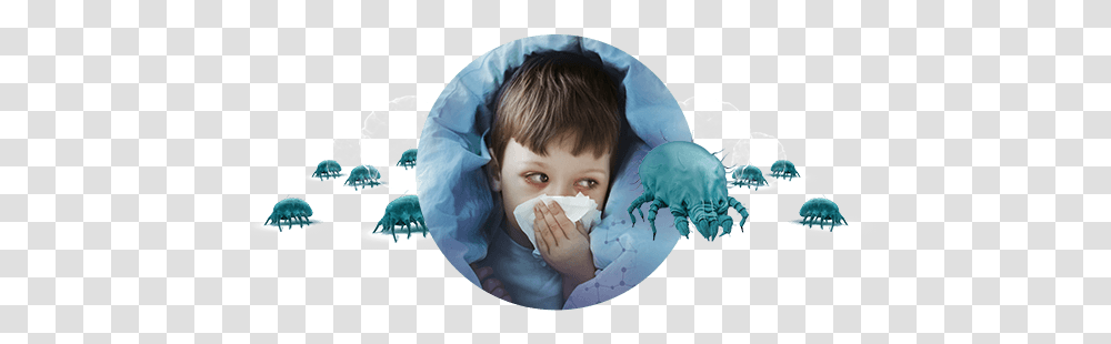 Your Child Is Allergic To Dust Mites Exaller Palette, Person, Face, Female, Girl Transparent Png