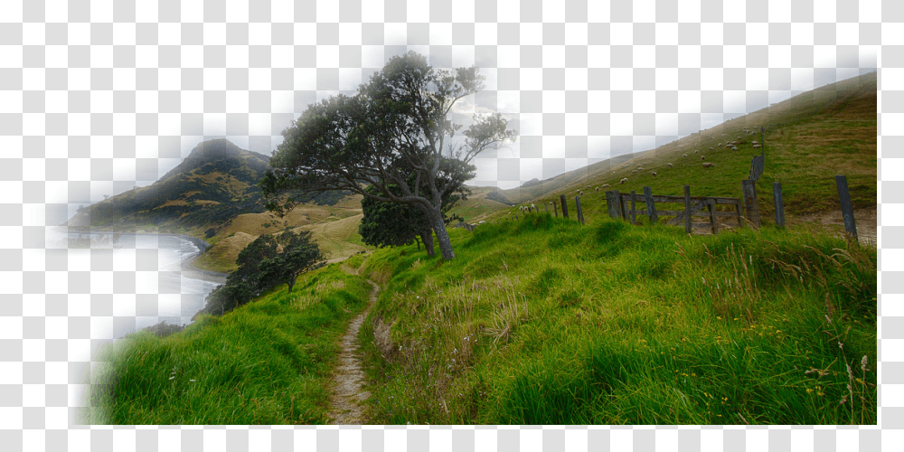 Your Father Is Pleased To Give You, Nature, Outdoors, Grassland, Field Transparent Png