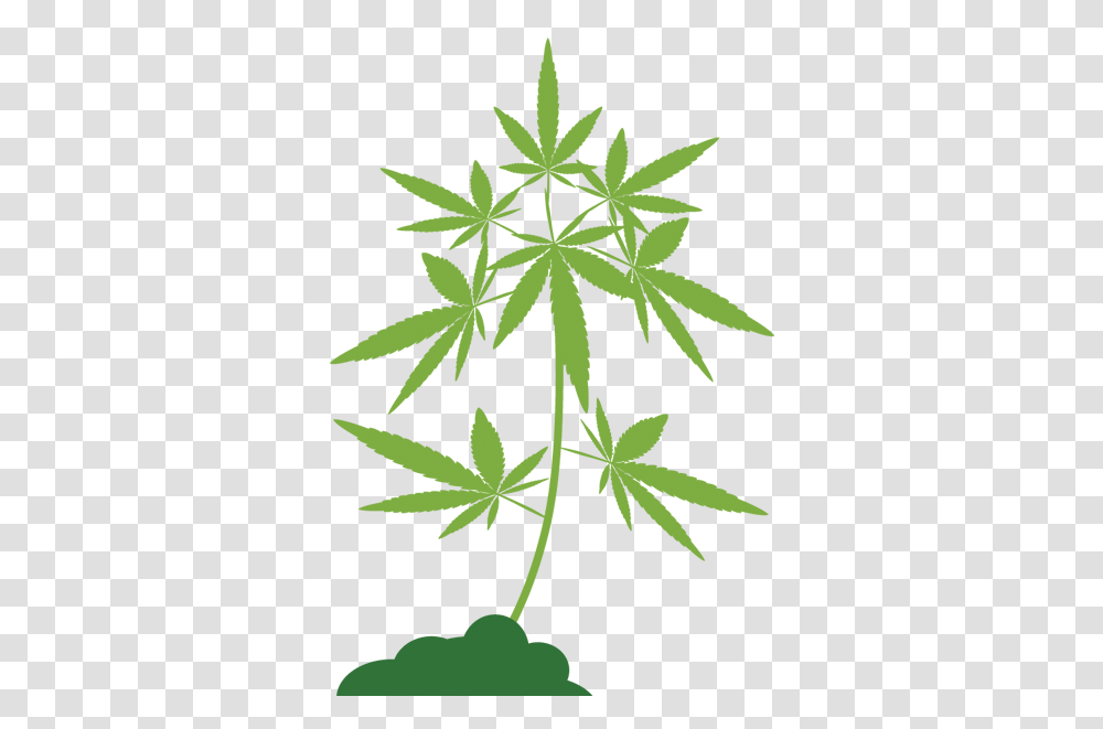 Your Guide To Marijuana In Illinois Chicago News Wttw Vector Graphics, Plant, Hemp, Flower, Blossom Transparent Png