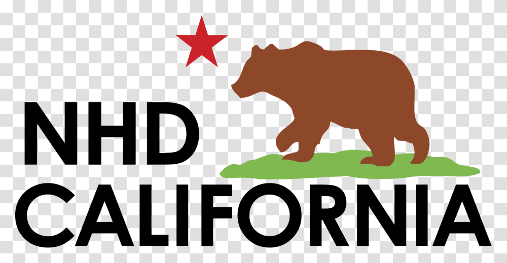 Your Reliable Nhd Providersrc Https Grizzly Bear, Mammal, Animal, Star Symbol Transparent Png