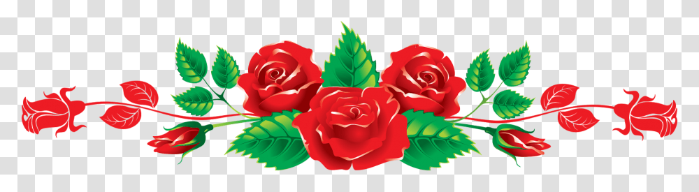 Your Will Find You Imam Ali, Rose, Flower, Plant, Blossom Transparent Png