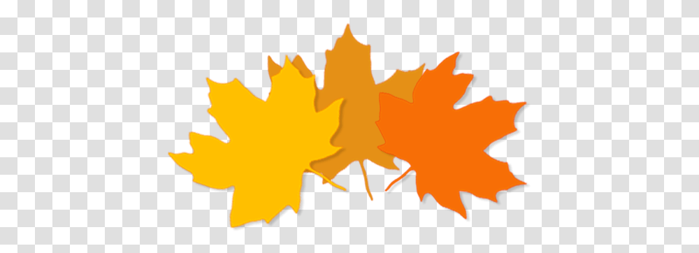 Youtube 128 Sacramento Dinkers Fall Leaf Logos, Plant, Tree, Person, Outdoors Transparent Png