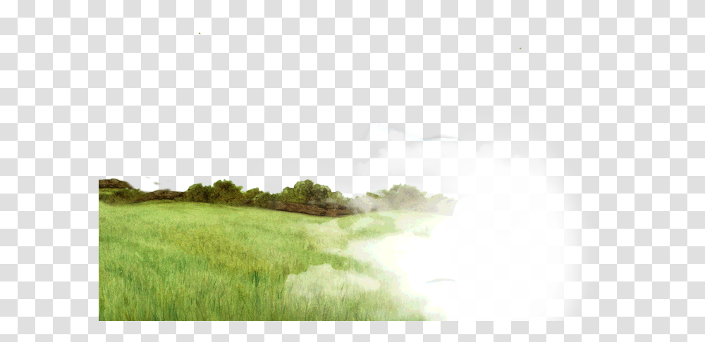 Youtube Clipart Nature Grass, Outdoors, Land, Field, Water Transparent Png