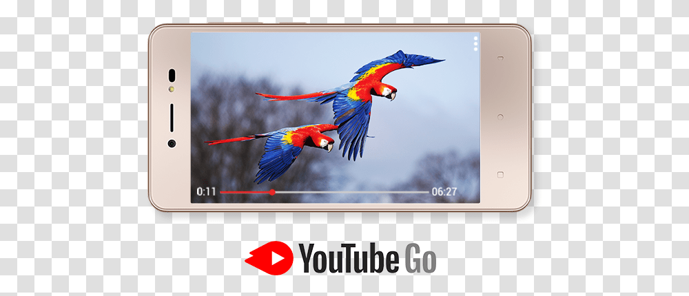 Youtube Logo Black, Bird, Animal, Macaw, Parrot Transparent Png
