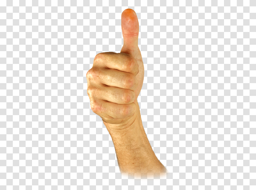 Youtube Thumbs Up Bone, Hand, Person, Human, Finger Transparent Png